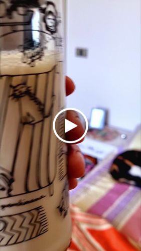Customer video review of Cat Lover Juego de 6 Vasos Gatunos 500ML