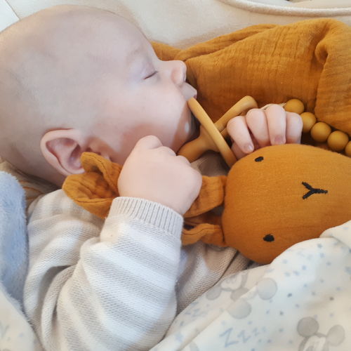 Customer photo review of Dou Dou de Apego Mango Nenina & Co