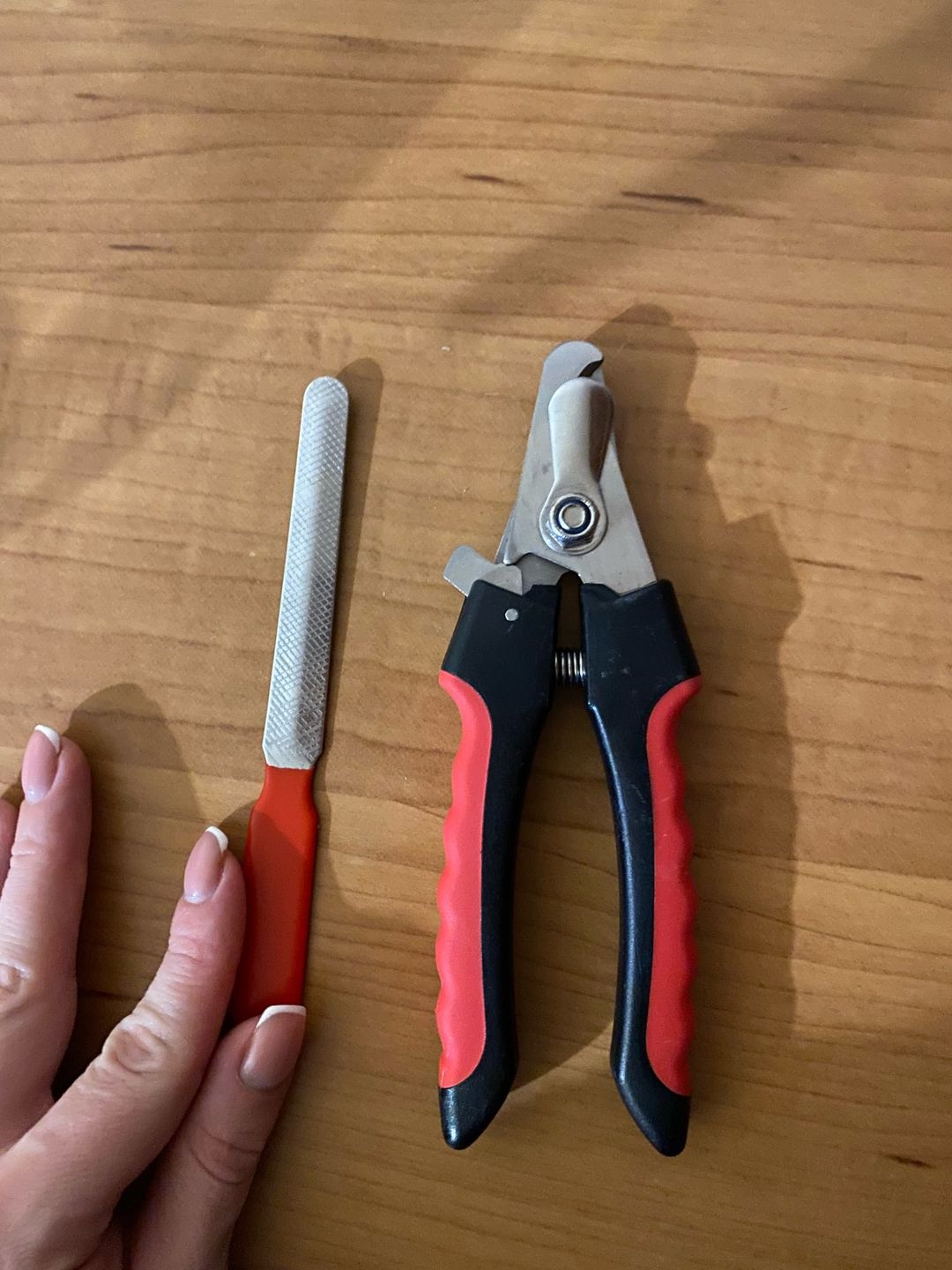 Customer photo review of Safety Pet Nail Clippers