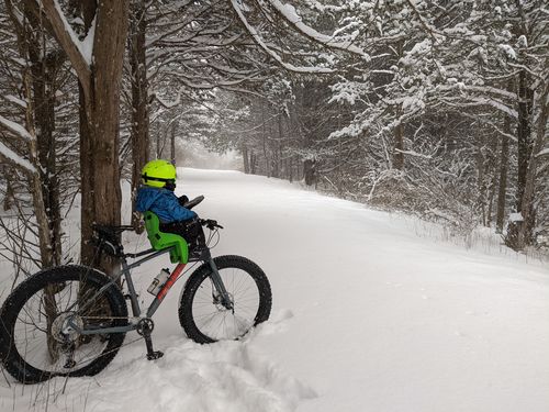 Customer photo review of Minnesota LTD Fat Bike 27.5"