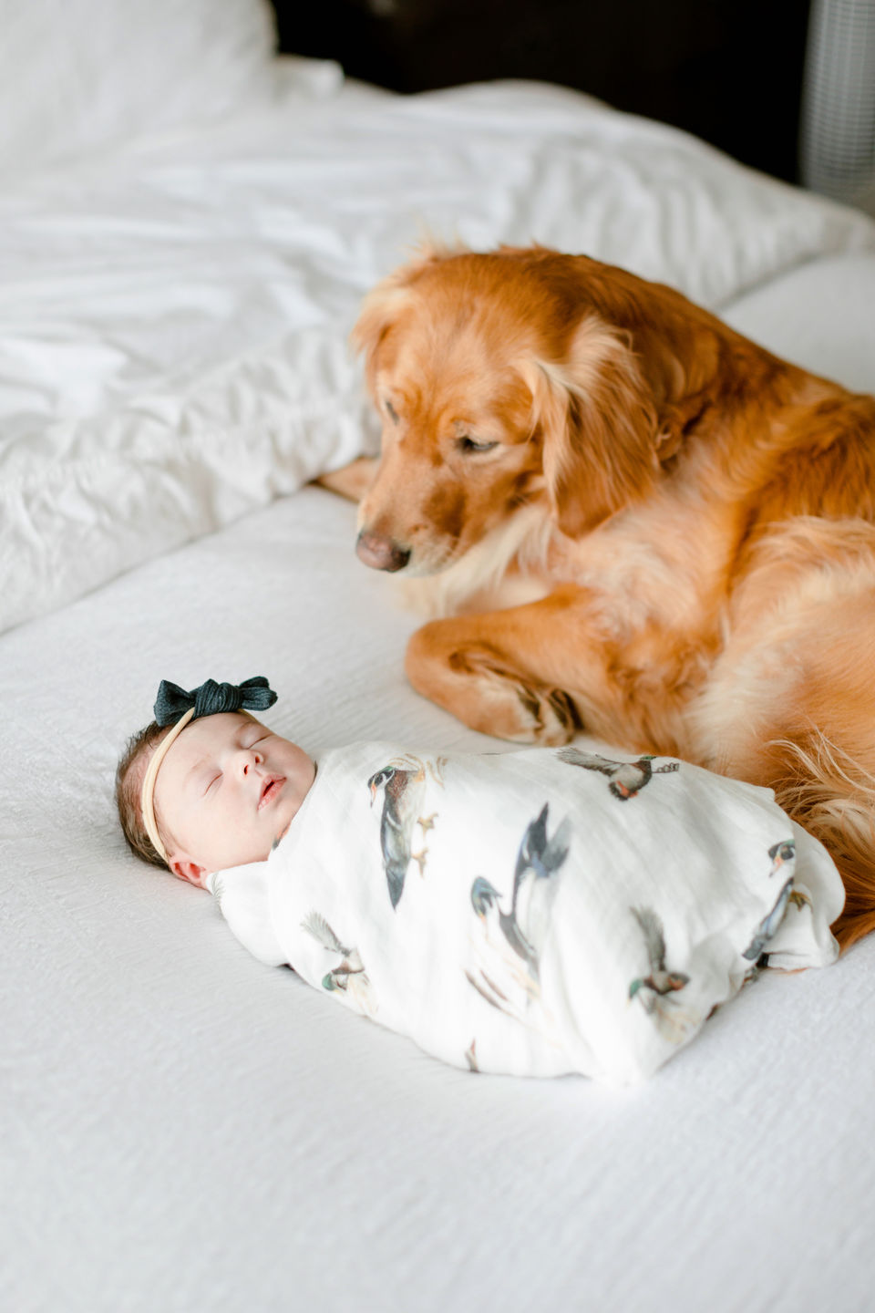Customer photo review of Diving Ducks Swaddle