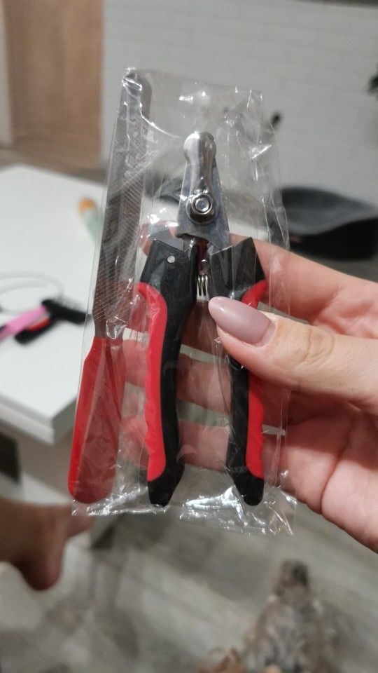 Customer photo review of Safety Pet Nail Clippers