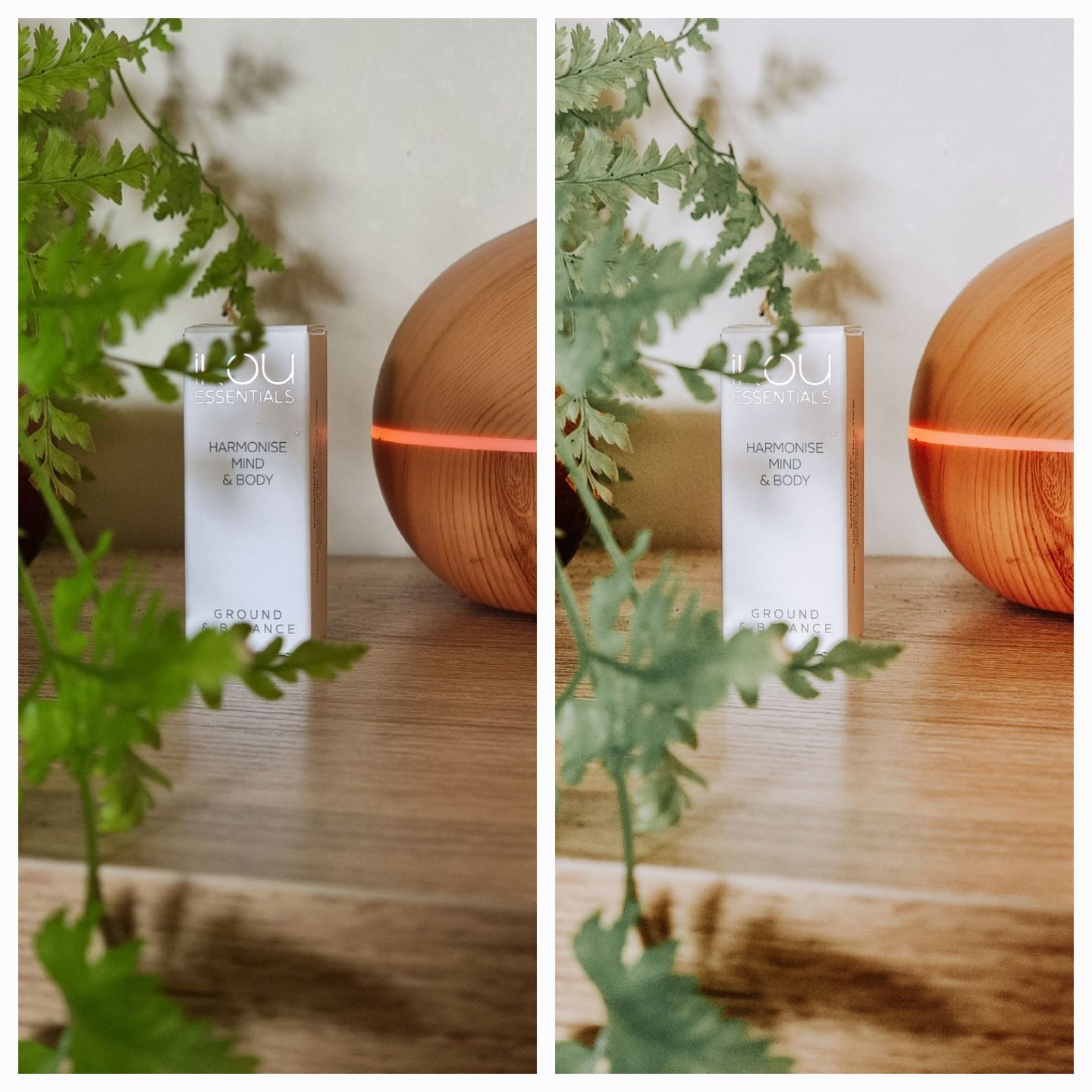 Customer photo review of BRIGHT & AIRY LIGHTROOM PRESETS