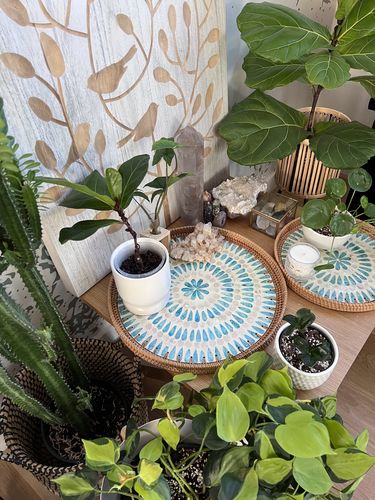 Customer photo review of Serene Rattan Tray - Set