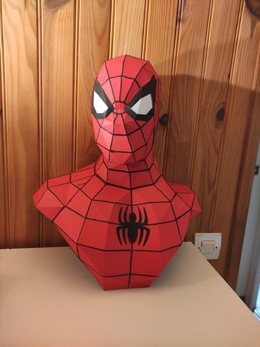 Customer photo review of Patrons Buste Spiderman (pdf)