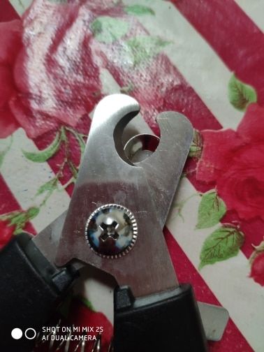 Customer photo review of Safety Pet Nail Clippers