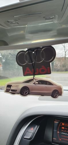 Customer photo review of Two Custom Air Fresheners