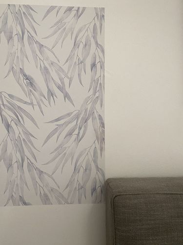 Customer photo review of Eucalyptus Leaves 'Blue Grey' Wallpaper