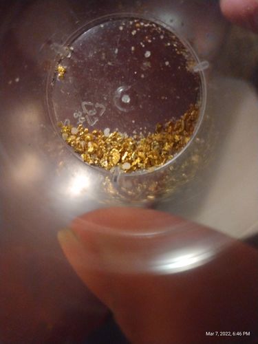 Customer photo review of Goldn Paydirt '10 TROY OUNCE GOLD RUSH' - Gold Panning Paydirt