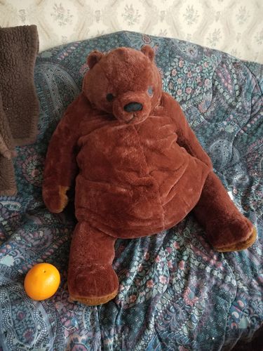 Customer photo review of SKOGGY BEAR