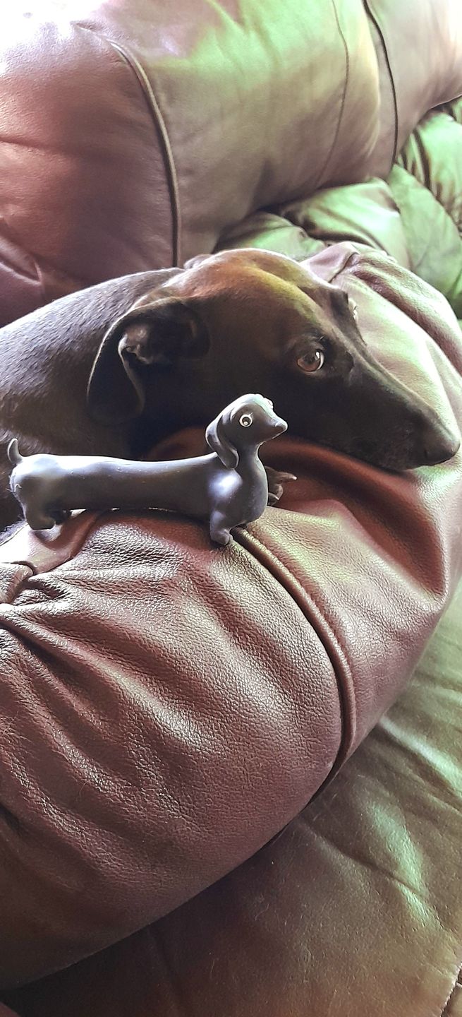 Customer photo review of Stretchy Dachshund Sausage Dog
