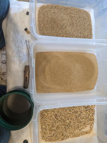 Customer photo review of Goldn Paydirt '10 TROY OUNCE GOLD RUSH' - Gold Panning Paydirt