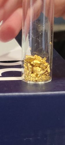 Customer photo review of 25 Lb. JACKPOT PAYDIRT™ Gold Paydirt Unsearched