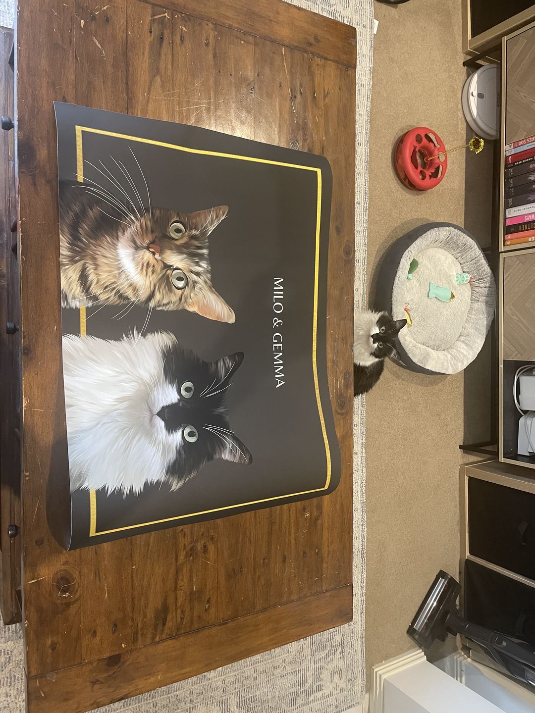 Customer photo review of Two-Pet Portrait