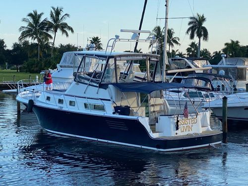 Customer photo review of Butterie - White Butter Dish