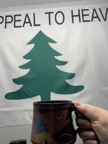 Customer photo review of Don't Tread on Me