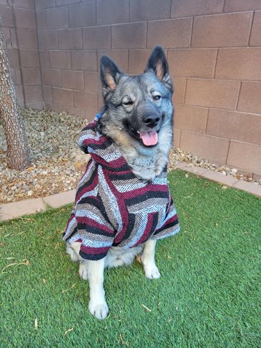 Customer photo review of Playa Poncho