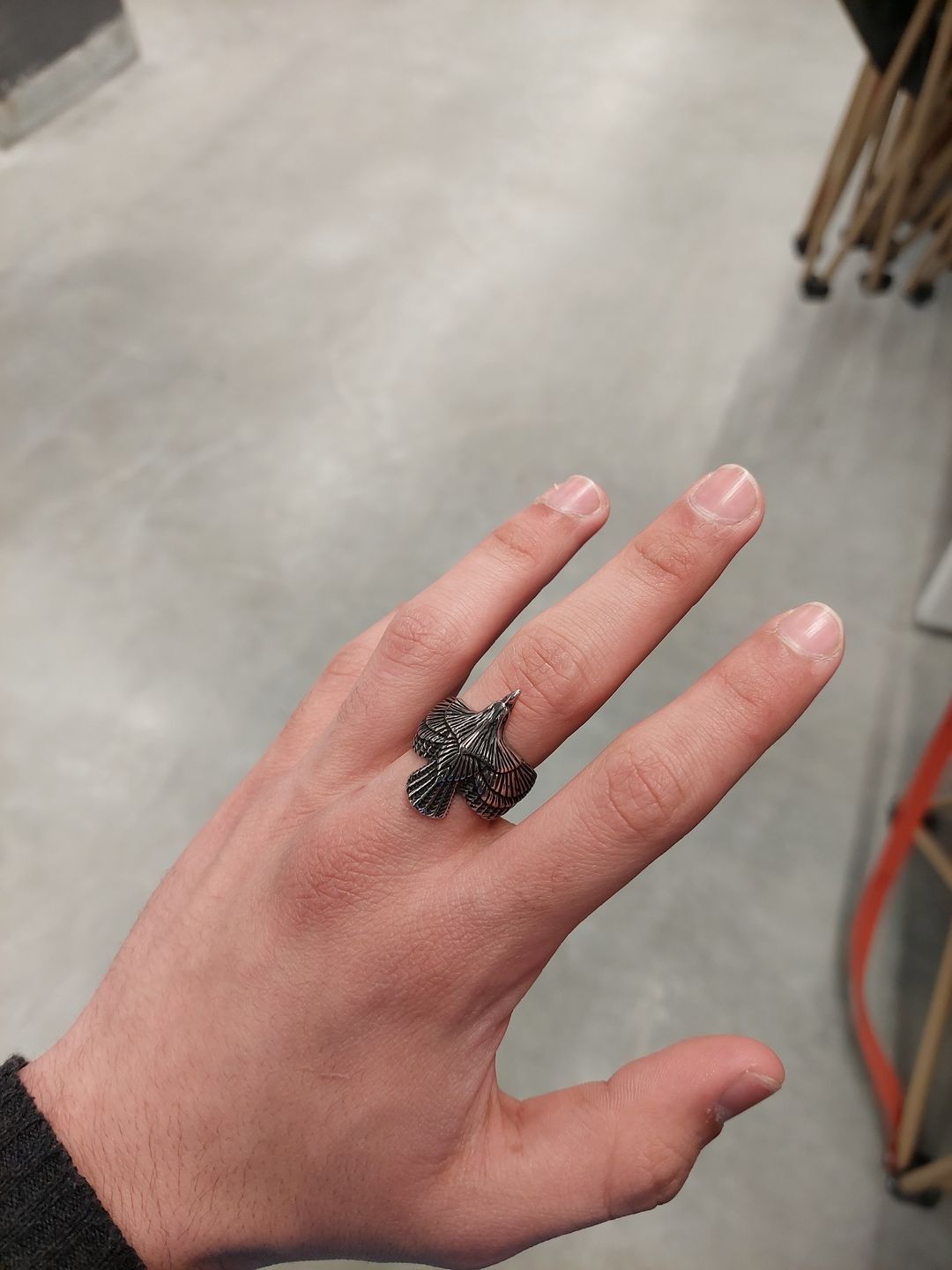 Customer photo review of FREEDOM. - SILVER