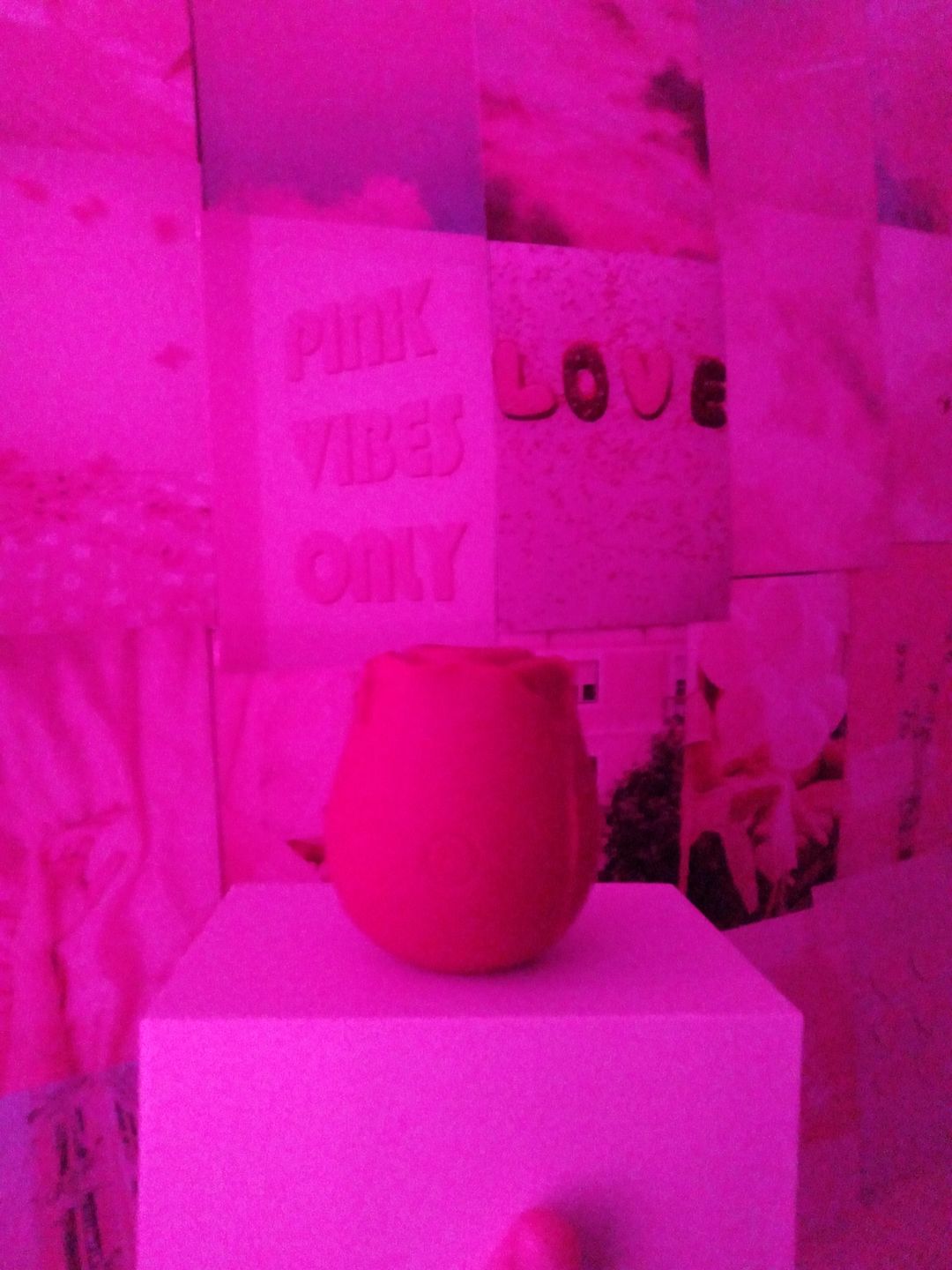 Customer photo review of Rose Suctional Vibrator