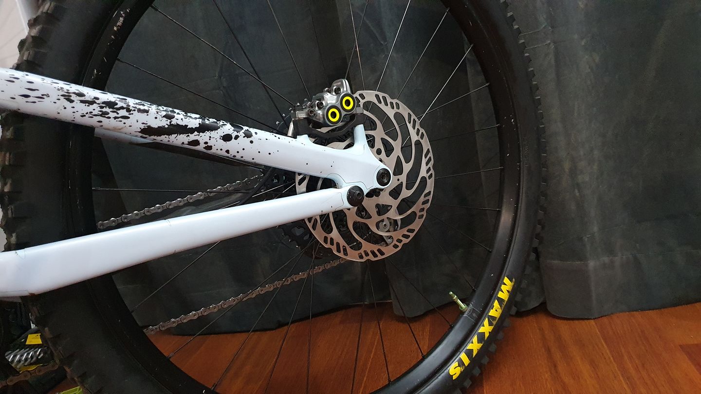 Customer photo review of ROTOR MAGURA MDR-C 203 MM E-STOP
