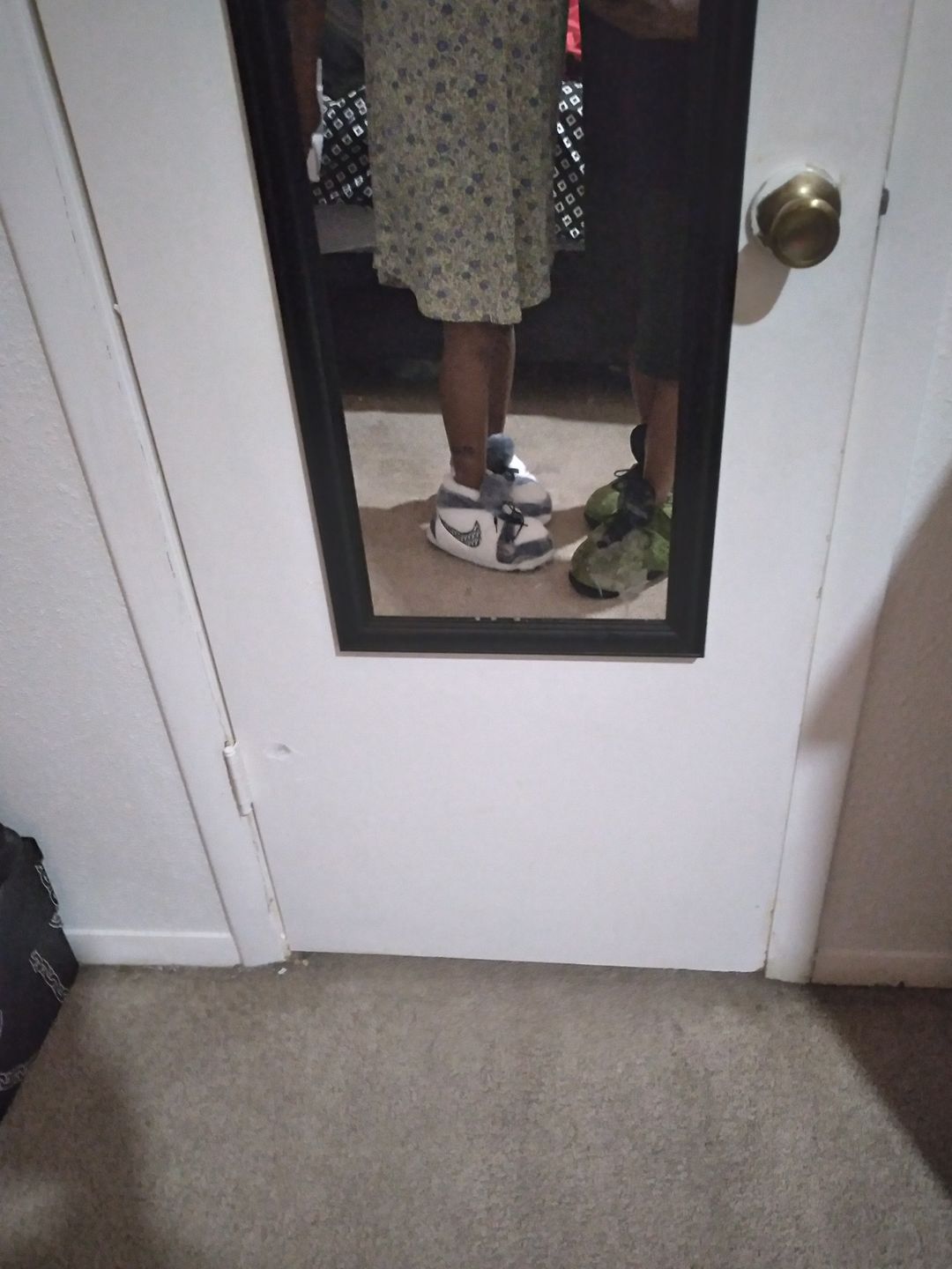 Customer photo review of CACTUS 6