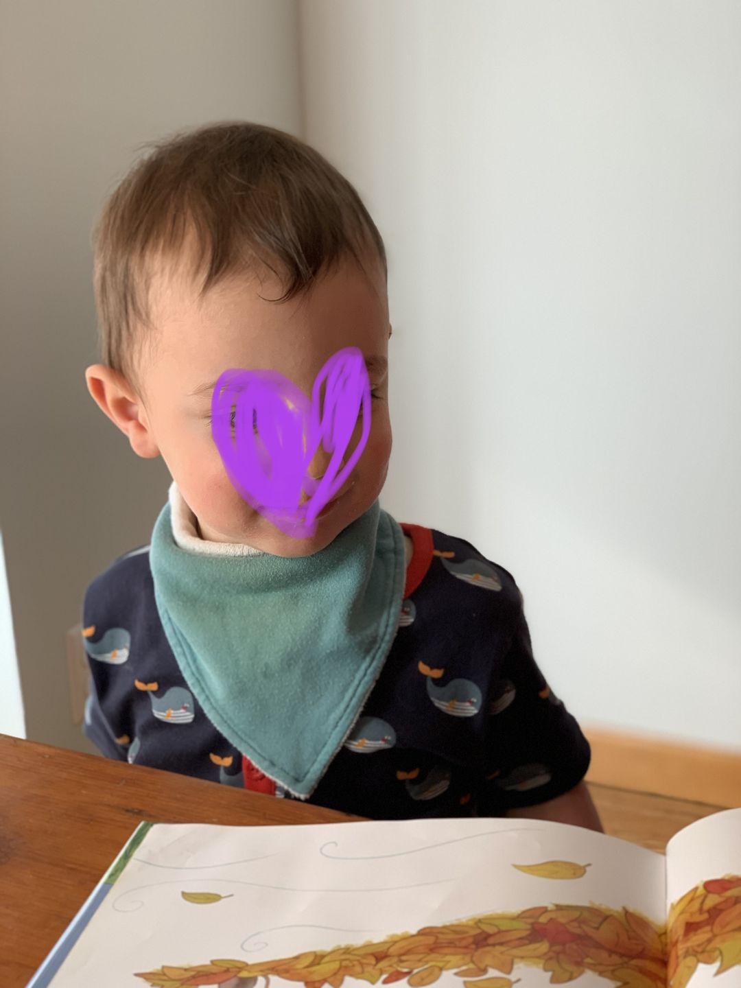 Customer photo review of Whale Song Short Sleeve Henley Top