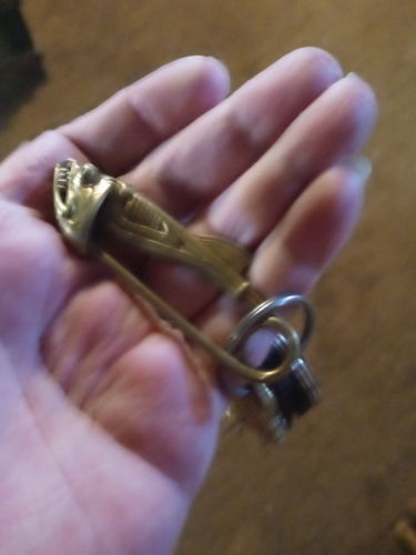 Customer photo review of Fish Keychain | Brass
