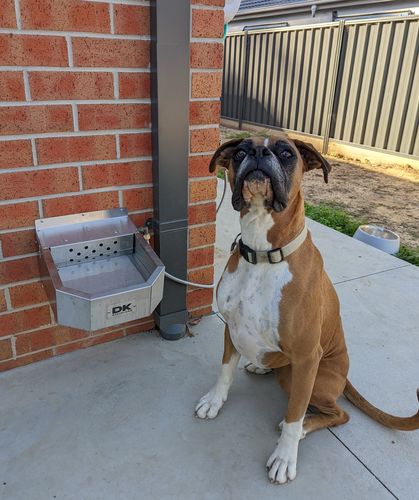 Customer photo review of Pet Rehydration Station