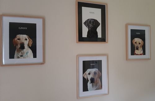 Customer photo review of One-Pet Portrait