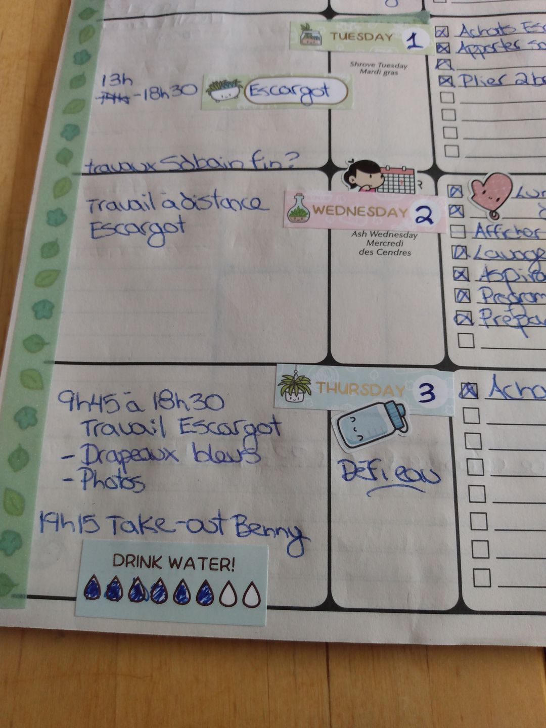 Customer photo review of Hydrate Planner Stickers