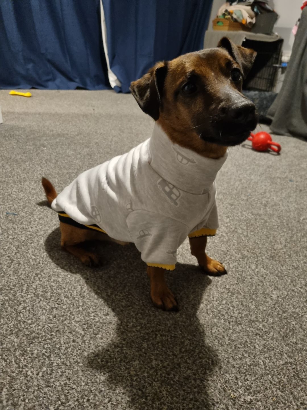 Customer photo review of Printed Fleece/Sweatshirt Remnants