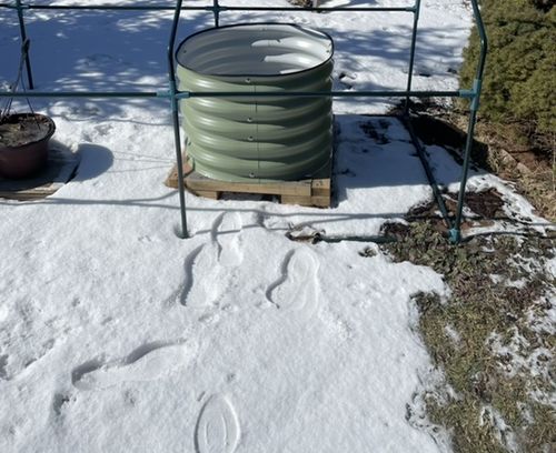 Customer photo review of 17” Tall Round (Twin Pack)