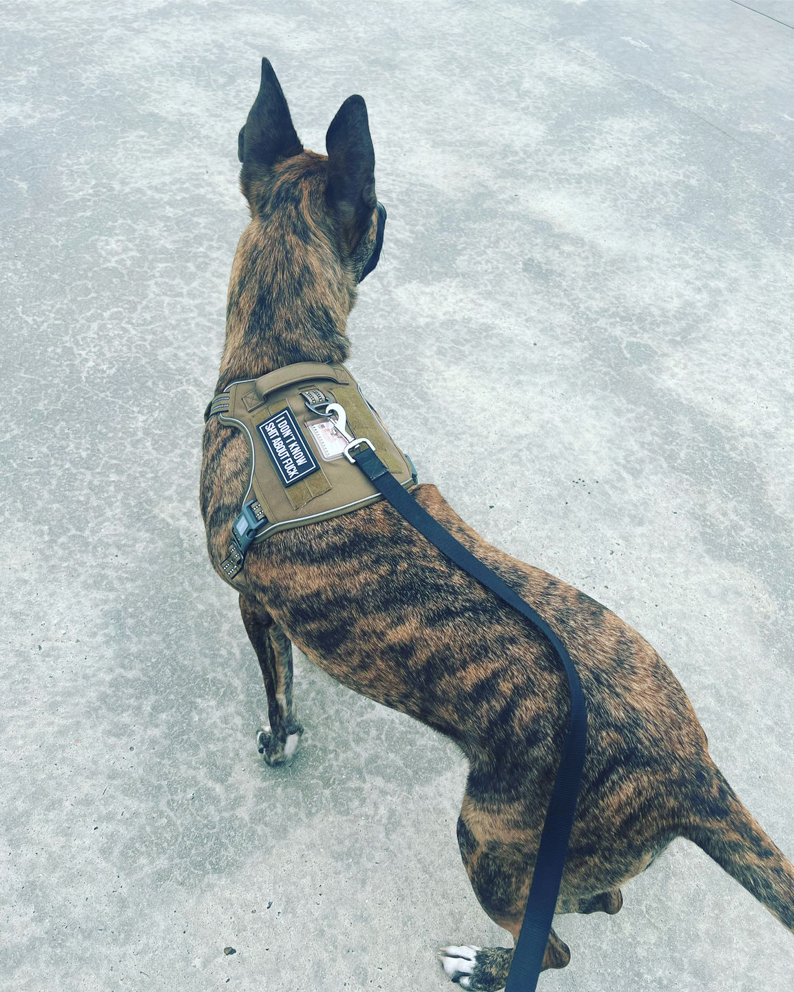 Customer photo review of I Don't Know Sh!^ About F#$%