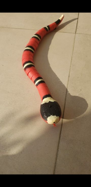 Customer photo review of Smart Sensing Snake