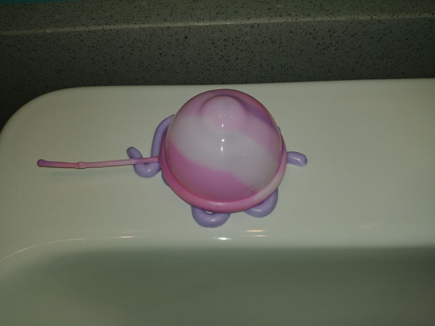 Customer photo review of Spot