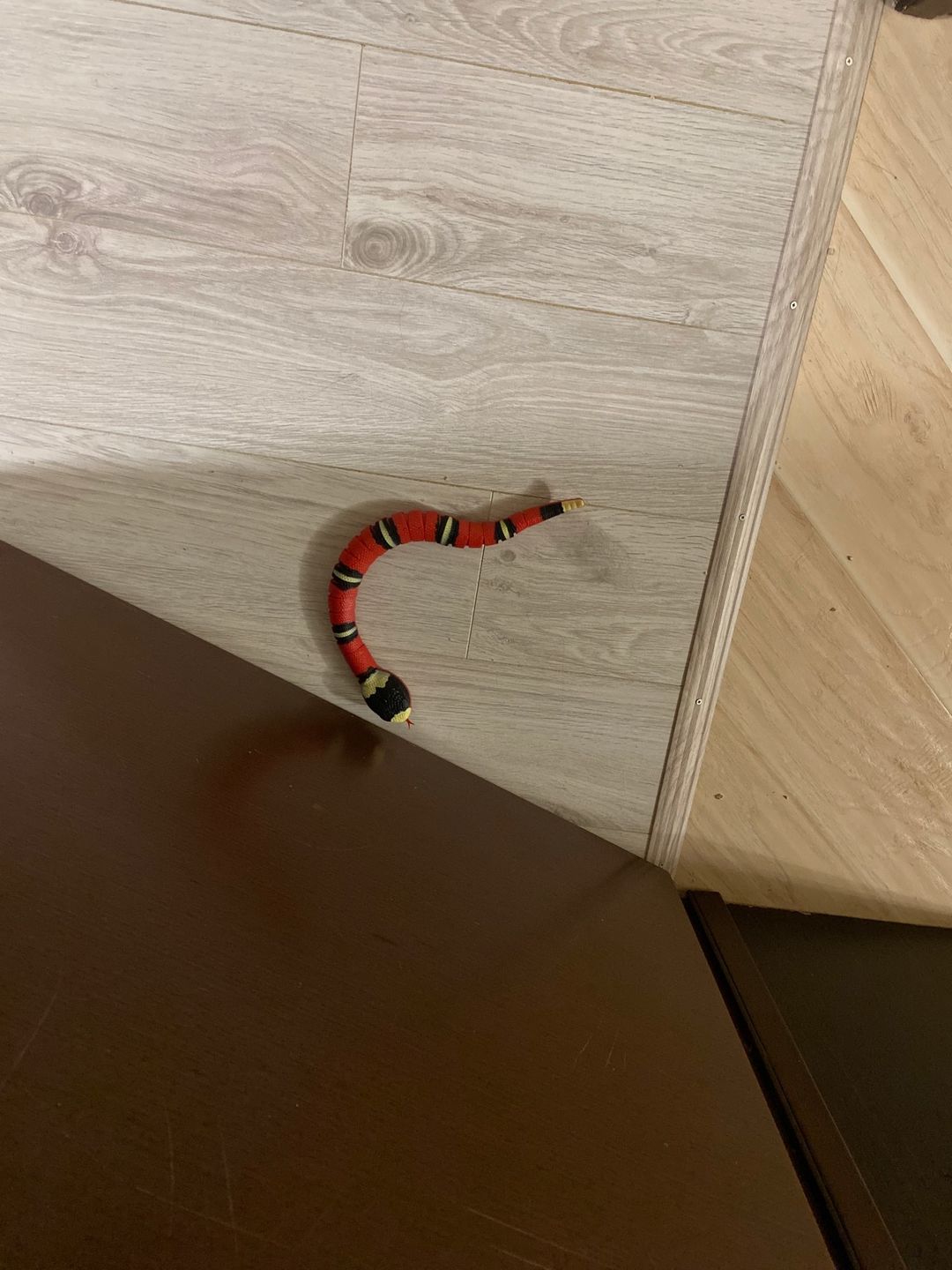 Customer photo review of Smart Sensing Snake