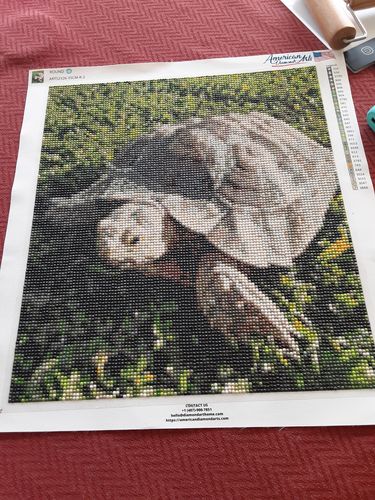 Customer photo review of Custom Diamond Painting Kits for Adults DIY 5D - Photo Diamond Art Shipped from USA