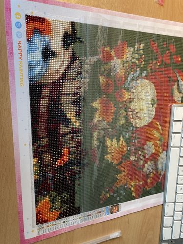 Customer photo review of Pompoenen En Vogels