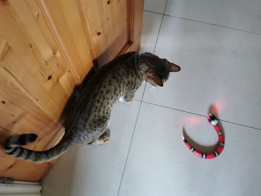 Customer photo review of Smart Sensing Snake