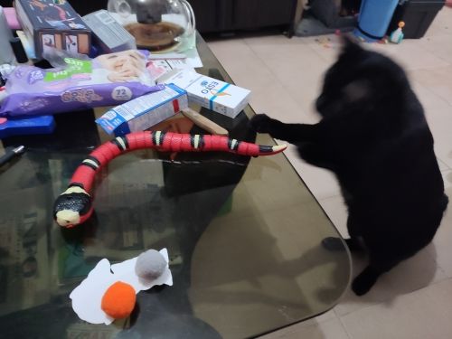Customer photo review of Smart Sensing Snake