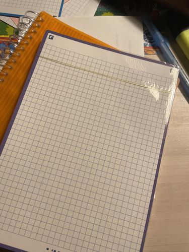 Avis photo d'un client sur Fiches de révision REVISION 2.0 OXFORD # 50 fiches 14,8 x 21 cm - petits carreaux