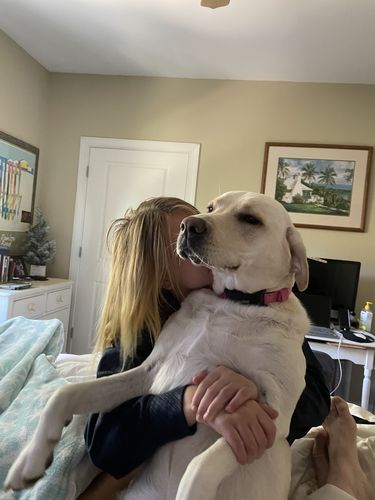 Customer photo review of BarkWise™ Complete