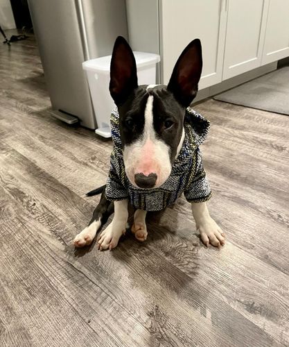 Customer photo review of Playa Poncho