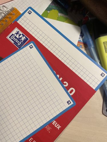 Avis photo d'un client sur Fiches de révision REVISION 2.0 OXFORD # 50 fiches 14,8 x 21 cm - petits carreaux