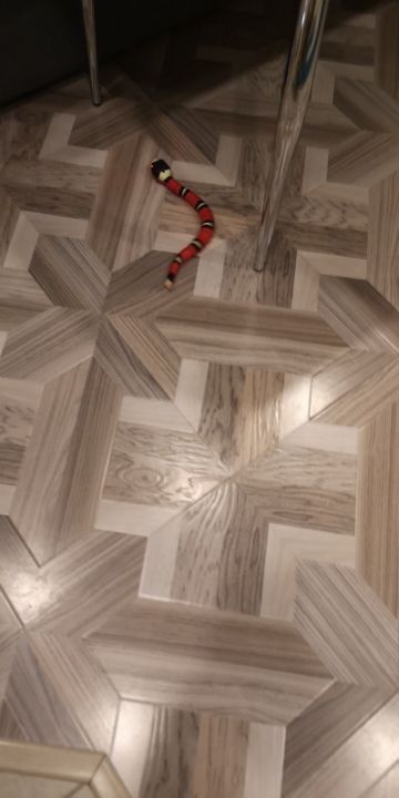 Customer photo review of Smart Sensing Snake