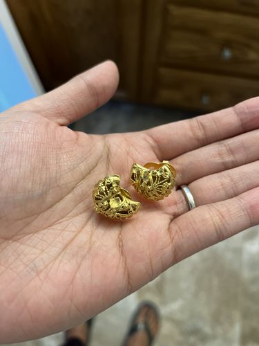 Customer photo review of Lerida Crescent Earrings