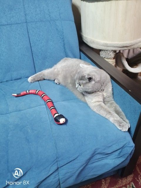 Customer photo review of Smart Sensing Snake