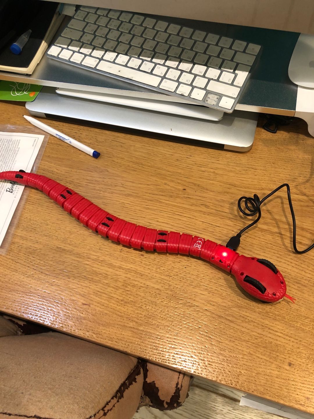 Customer photo review of Smart Sensing Snake