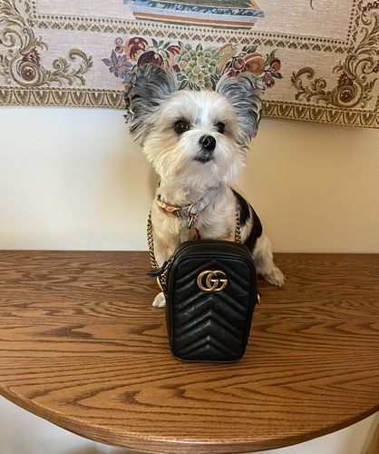 Customer photo review of PRELOVED Gucci GG Matelasse Black Leather Mini Phone Shoulder Bag 598597.0416  030522