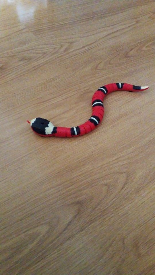 Customer photo review of Smart Sensing Snake